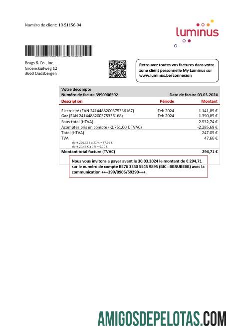 Em branco modelo de conta de serviços públicos Luminus da Bélgica em formato Word e PDF